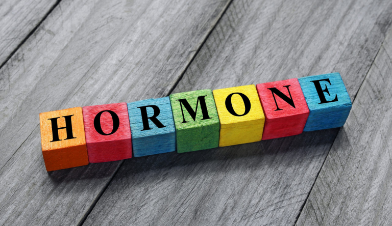 Holzbuchstaben mit dem Wort Hormone auf grauem Untergrund. Symbolbild für Hormontherapie in der Naturheilpraxis Karin Kossek in Duisburg.